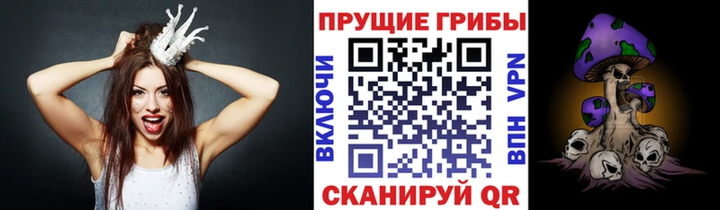 маркетплейс телеграм  как найти   mega маркетплейс  Дорогобуж  Галлюциногенные грибы Magic Shrooms 
